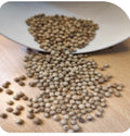 White pepper