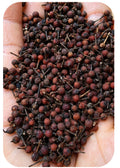 Wild red pepper