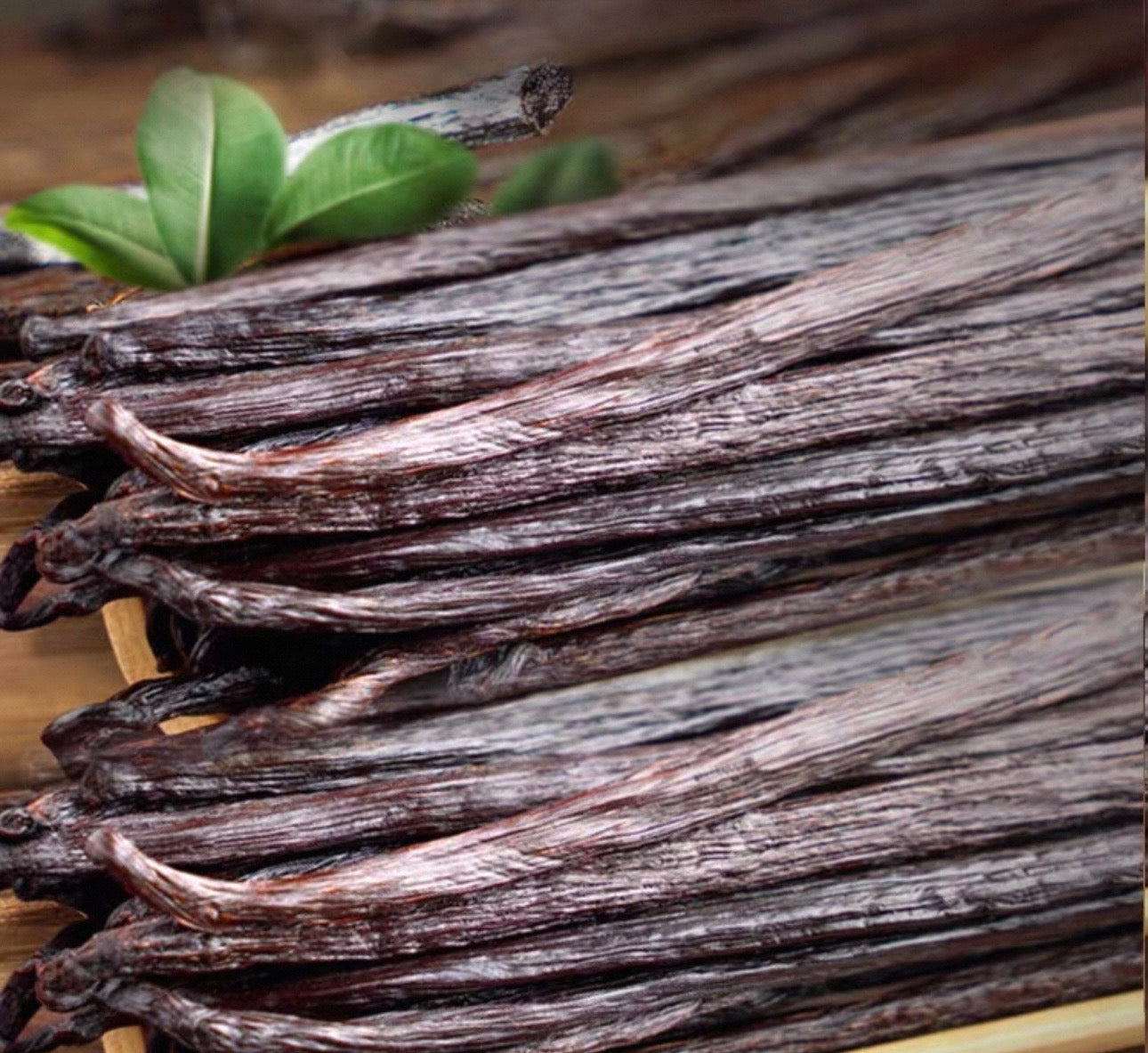 Bourbon vanilla Madagascar