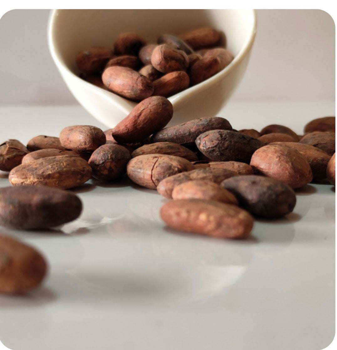 Cacao beans roasted